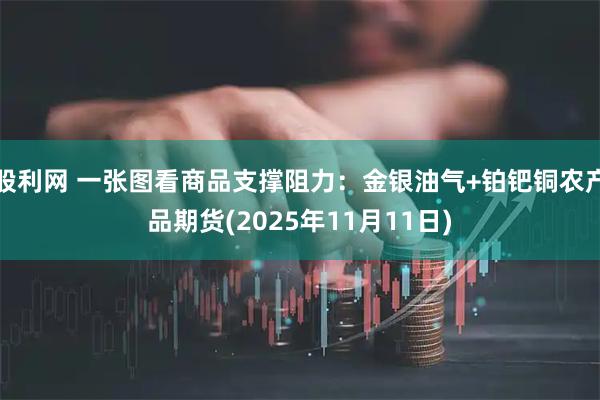 股利网 一张图看商品支撑阻力:金银油气+铂钯铜农产品期货(2025年11月11日)