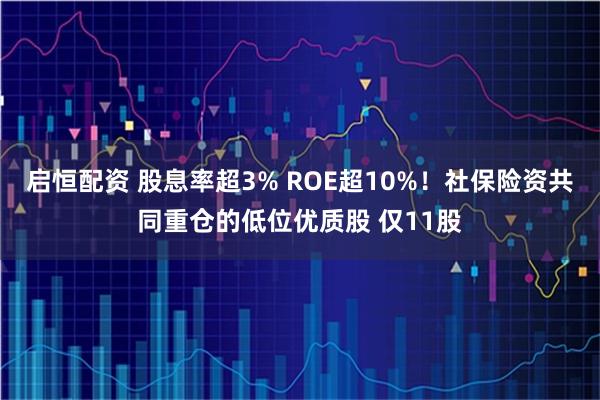 启恒配资 股息率超3% ROE超10%!社保险资共同重仓的低位优质股 仅11股