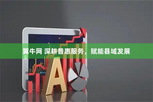 翼牛网 深耕普惠服务，赋能县域发展